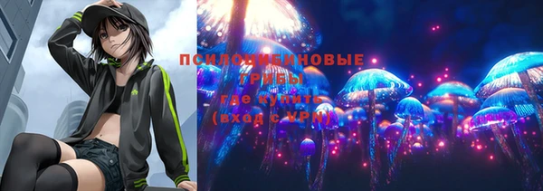 соль ск Инта