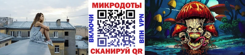 Купить где  Камбарка  Галлюциногенные грибы Psilocybine cubensis 